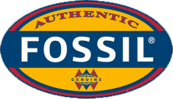 Click to Open Fossil Store