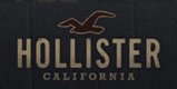Click to Open Hollister Store