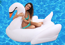 SHEIN: Register Today To Win A Pool Swan