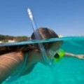 Aladinia: Snorkel In Illes Medes For Two (Girona). € 49!