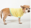 American Apparel: Up To 70% Off On Pets Clothing & Leashes