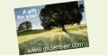 Gilden Tree: Gilden Tree Gift Certificates