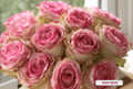 Organic Bouquet: Crown Majesty Roses $49.95