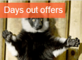 Buyagift: Days Out Special Offers From £9.75
