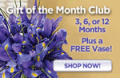 Organic Bouquet: MONTHLY GIFT CLUBS