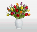 Flora2000: 35% Off Coleurs De La Vie & Free Vase + Extra 20% Off