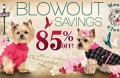 Big Al's Online: 85% Off Blowout Savings