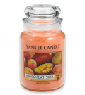 Bed Bath & Beyond: 25% Off Mango Peach Salsa Scented Yankee Candle