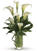 FlowerShopping.com: 9% Off Calla Lily