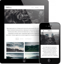 ThemeTrust: Swell WordPress Theme At $59