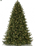 Balsam Hill: Vermont White Spruce® Tree Starting At £179