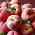 The Fruit Company: 15% Off Oregon Peaches