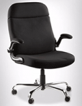 Living XL: LivingXL Extra-Wide Lift-Up Arm Office Chair With Gas Lift For $359.95 + Free Shipping