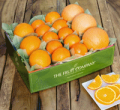 The Fruit Company: Citrus Medley Gift Box For $39.95