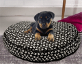 Gettington Credit Application: 50% Off Pamper Your Pooch  Featuring Beds, Houses And More